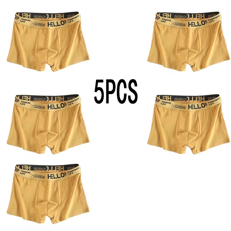 5-piece men's underwear, briefs, letters, breathable and comfortable set, multiple colors, L-4XL